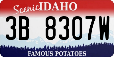ID license plate 3B8307W
