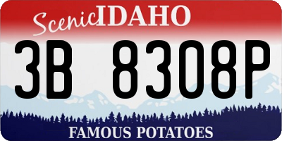 ID license plate 3B8308P