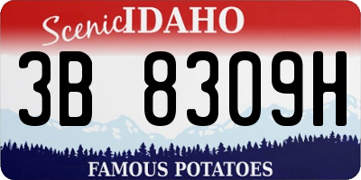 ID license plate 3B8309H