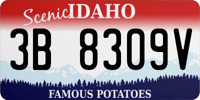 ID license plate 3B8309V