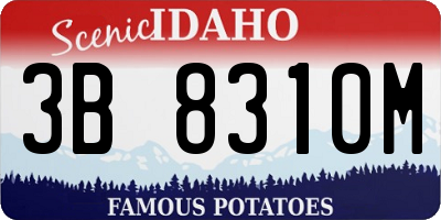 ID license plate 3B8310M