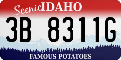 ID license plate 3B8311G