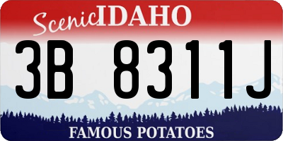 ID license plate 3B8311J