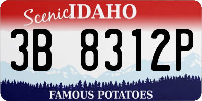 ID license plate 3B8312P