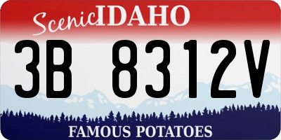 ID license plate 3B8312V