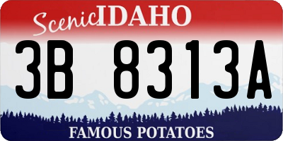 ID license plate 3B8313A