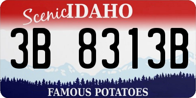 ID license plate 3B8313B