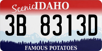 ID license plate 3B8313D