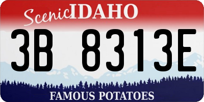 ID license plate 3B8313E