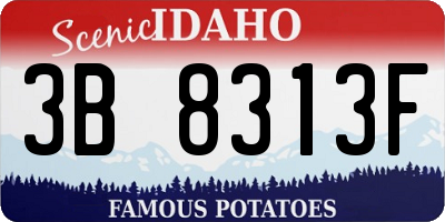 ID license plate 3B8313F