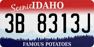 ID license plate 3B8313J