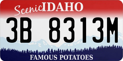ID license plate 3B8313M