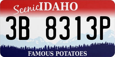 ID license plate 3B8313P