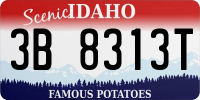 ID license plate 3B8313T