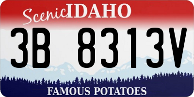 ID license plate 3B8313V