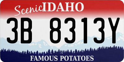 ID license plate 3B8313Y