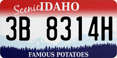 ID license plate 3B8314H
