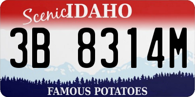 ID license plate 3B8314M