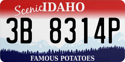 ID license plate 3B8314P