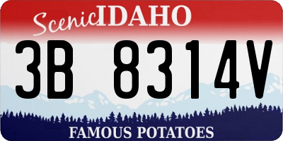 ID license plate 3B8314V