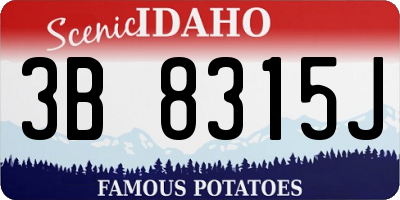 ID license plate 3B8315J