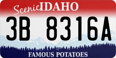 ID license plate 3B8316A