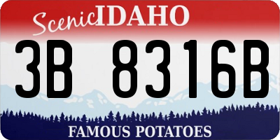 ID license plate 3B8316B