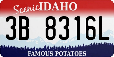 ID license plate 3B8316L