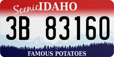 ID license plate 3B8316O