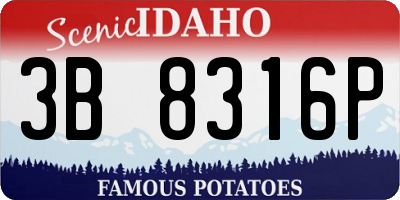 ID license plate 3B8316P