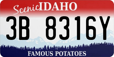 ID license plate 3B8316Y