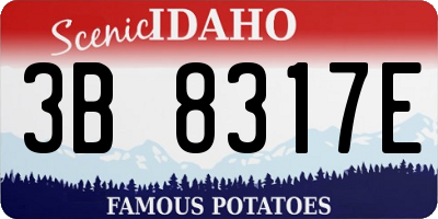 ID license plate 3B8317E