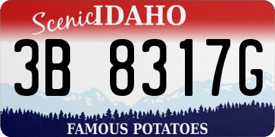ID license plate 3B8317G