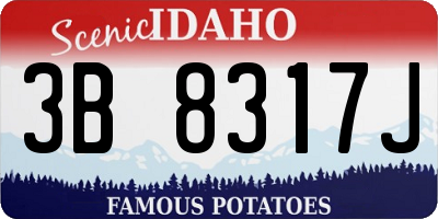 ID license plate 3B8317J