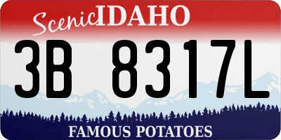 ID license plate 3B8317L