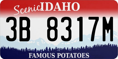 ID license plate 3B8317M