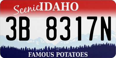 ID license plate 3B8317N