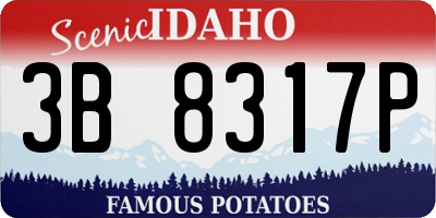 ID license plate 3B8317P