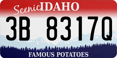ID license plate 3B8317Q