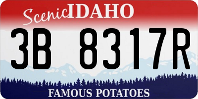ID license plate 3B8317R