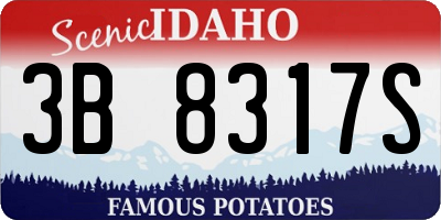 ID license plate 3B8317S