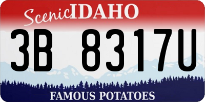 ID license plate 3B8317U