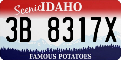 ID license plate 3B8317X