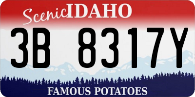 ID license plate 3B8317Y