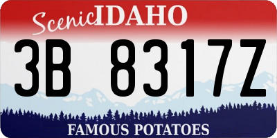 ID license plate 3B8317Z