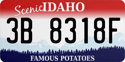 ID license plate 3B8318F
