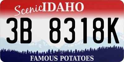 ID license plate 3B8318K