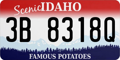 ID license plate 3B8318Q