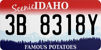 ID license plate 3B8318Y