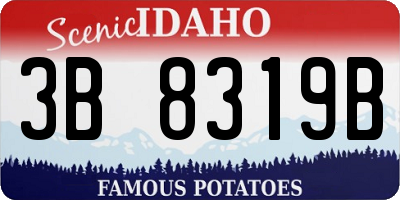 ID license plate 3B8319B